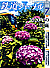 0645 2020-7