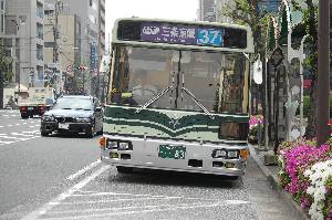 0083(DSC_0221).JPG