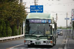 0210(DSC_2142).JPG