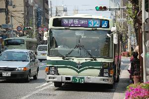 0315(DSC_0239).JPG