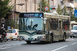 0515(DSC_2392).JPG