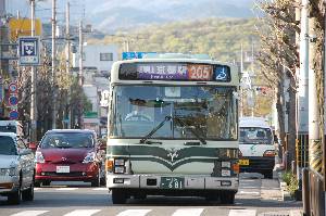 0681(DSC_0134).JPG
