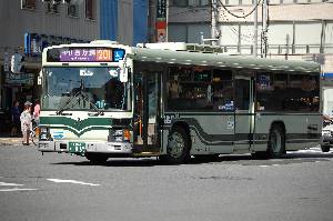 0869(DSC_1187).JPG