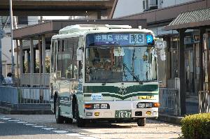 1047(DSC_1750).JPG
