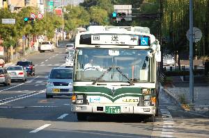 1148(DSC_1968).JPG