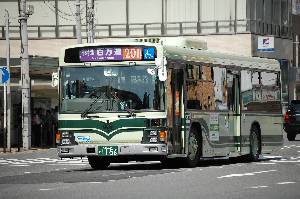 1156(DSC_1095).JPG