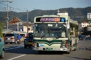 1157(DSC_2298).JPG