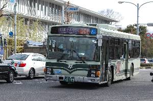 1159(DSC_4272).JPG