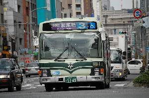 1165(DSC_1295).JPG
