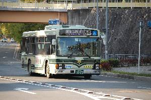 1170(DSC_1976).JPG