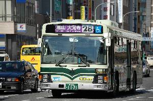 1171(DSC_1180).JPG
