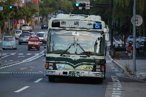 1182(DSC_1960).JPG
