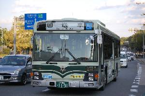 1191(DSC_2013).JPG