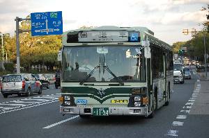 1194(DSC_2037).JPG