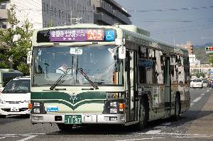 1197(DSC_0709).JPG