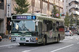 1465(DSC_2487).JPG