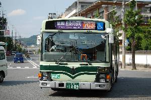 1489(DSC_0995).JPG
