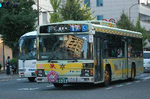 1513(DSC_6227).JPG
