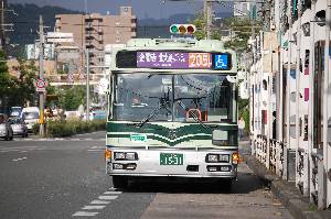 1531(DSC_0687).JPG