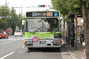 1550(DSC_6133).JPG