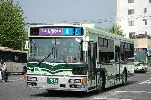 1555(DSC_0383).JPG