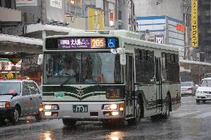 1731(DSC_3219).JPG