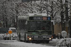 1755(DSC_4936).JPG
