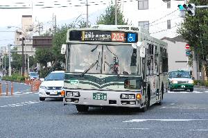 2010(DSC_6049).JPG