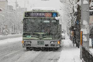 2013(DSC_4890).JPG
