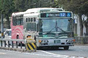2053(DSC_6050).JPG