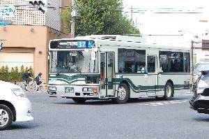 2064(DSC_6039).JPG