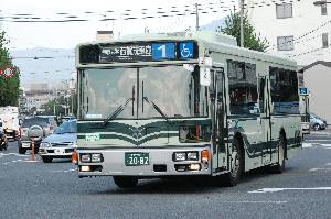 2082(DSC_6061).JPG