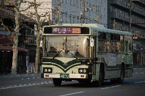 5872(DSC_0293).JPG