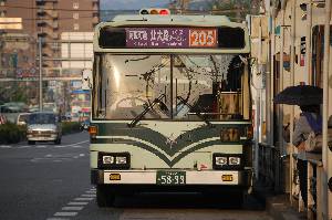 5899(DSC_0297).JPG