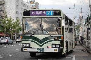 6031(DSC_0694).JPG