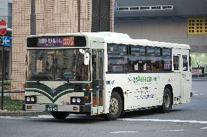 6045(DSC_2731).JPG