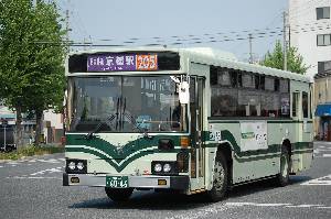 6046(DSC_0319).JPG