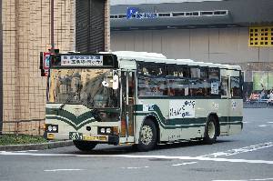 6079(DSC_2461).JPG