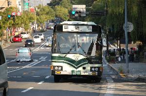 6081(DSC_1972).JPG