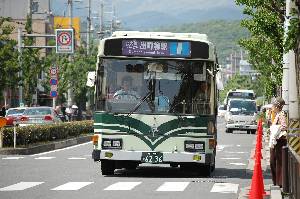 6236(DSC_0519).JPG