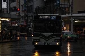 6243(DSC_3198).JPG