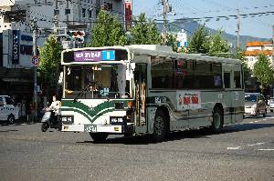 6244(DSC_0487).JPG