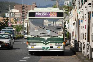 6266(DSC_0734).JPG