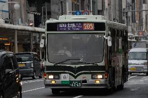 6269(DSC_5246).JPG