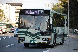 6291(DSC_1994).JPG