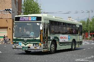6662(DSC_0347).JPG