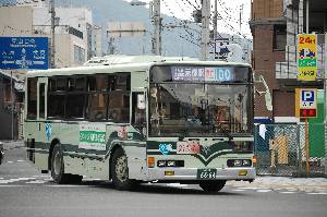 6664(DSC_2193).JPG